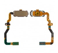 Шлейф Samsung G930F Galaxy S7 с кнопкой меню (Home) золотистого цвета