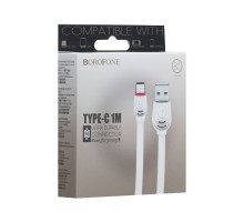 USB Borofone BX4 Type-C